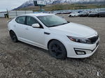 2015 Kia Optima Lx White vin: KNAGM4A74F5558304