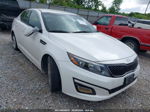 2014 Kia Optima Lx White vin: KNAGM4A75E5497768