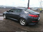 2015 Kia Optima Lx Blue vin: KNAGM4A75F5540197