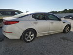 2015 Kia Optima Lx White vin: KNAGM4A75F5658153