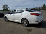 2013 Kia Optima Lx White vin: KNAGM4A77D5374794