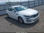 2014 Kia Optima Lx White vin: KNAGM4A77E5469549