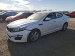 2015 Kia Optima Lx Белый vin: KNAGM4A78F5574845