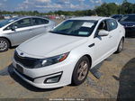 2015 Kia Optima Lx Белый vin: KNAGM4A78F5587384