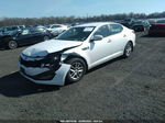 2013 Kia Optima Lx White vin: KNAGM4A79D5410890
