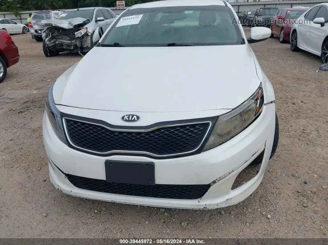 2014 Kia Optima Lx Белый vin: KNAGM4A79E5464305