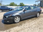 2015 Kia Optima Lx Gray vin: KNAGM4A79F5626693