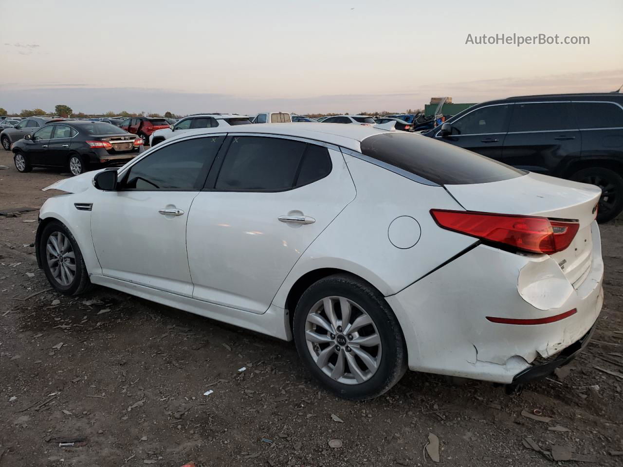 2015 Kia Optima Lx Белый vin: KNAGM4A79F5630419