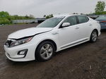 2014 Kia Optima Hybrid White vin: KNAGM4AD3E5064343