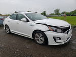 2014 Kia Optima Hybrid White vin: KNAGM4AD3E5064343