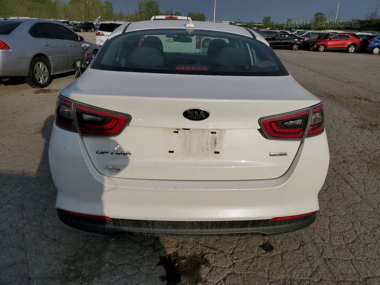 2015 Kia Optima Hybrid Белый vin: KNAGM4AD3F5082021