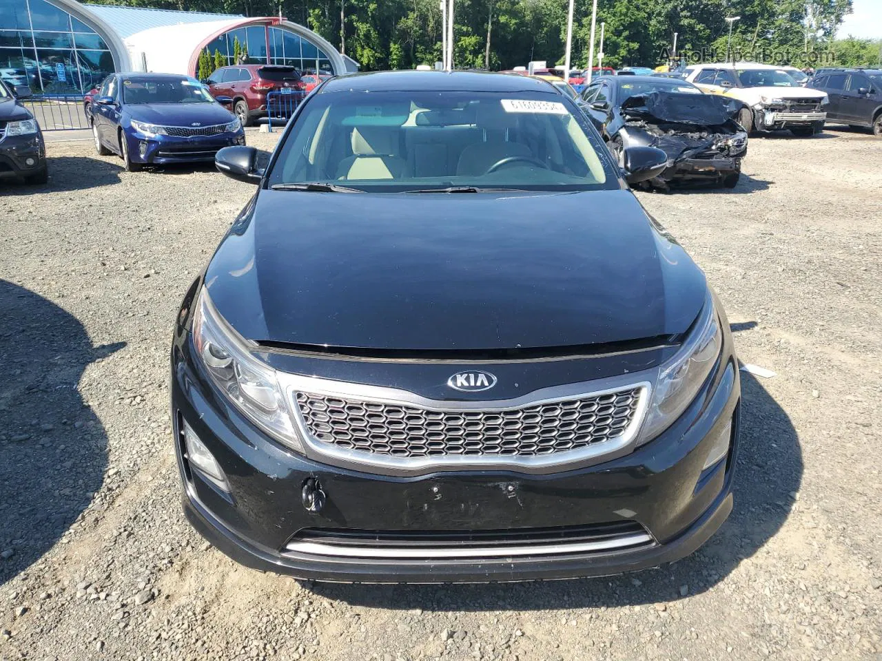 2016 Kia Optima Hybrid Black vin: KNAGM4AD3G5096633