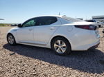 2014 Kia Optima Hybrid Белый vin: KNAGM4AD5E5064084