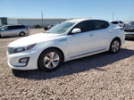 2014 Kia Optima Hybrid Белый vin: KNAGM4AD5E5064084