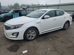 2016 Kia Optima Hybrid White vin: KNAGM4AD5G5092633