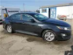 2016 Kia Optima Hybrid Black vin: KNAGM4AD5G5094530