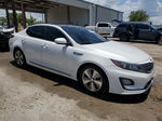 2014 Kia Optima Hybrid White vin: KNAGN4AD0E5065009