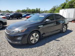 2014 Kia Optima Hybrid Black vin: KNAGN4AD0E5068895