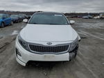 2015 Kia Optima Hybrid Белый vin: KNAGN4AD5F5084446