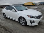 2015 Kia Optima Hybrid White vin: KNAGN4AD5F5084446