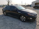 2016 Kia Optima Hybrid Black vin: KNAGN4AD7G5093246