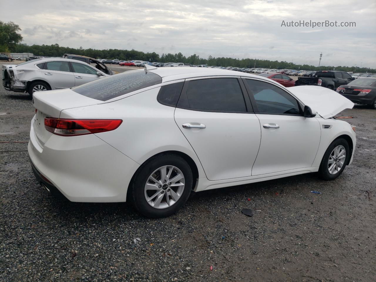 2016 Kia Optima Lx White vin: KNAGT4L31G5102629