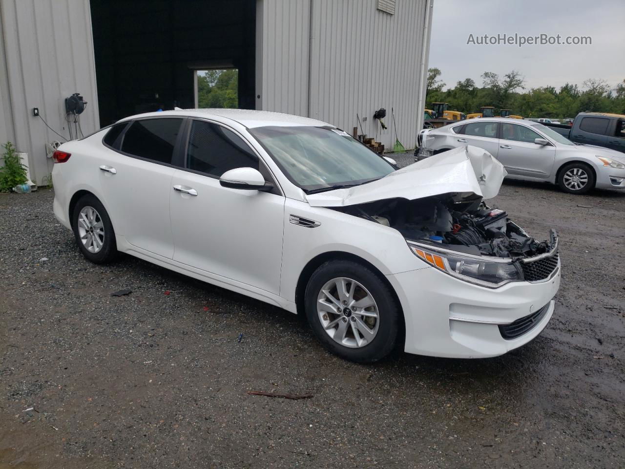 2016 Kia Optima Lx Белый vin: KNAGT4L31G5102629