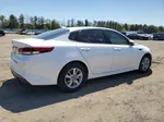 2016 Kia Optima Lx White vin: KNAGT4L33G5073571