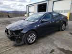 2018 Kia Optima Lx Gray vin: KNAGT4L33J5219622