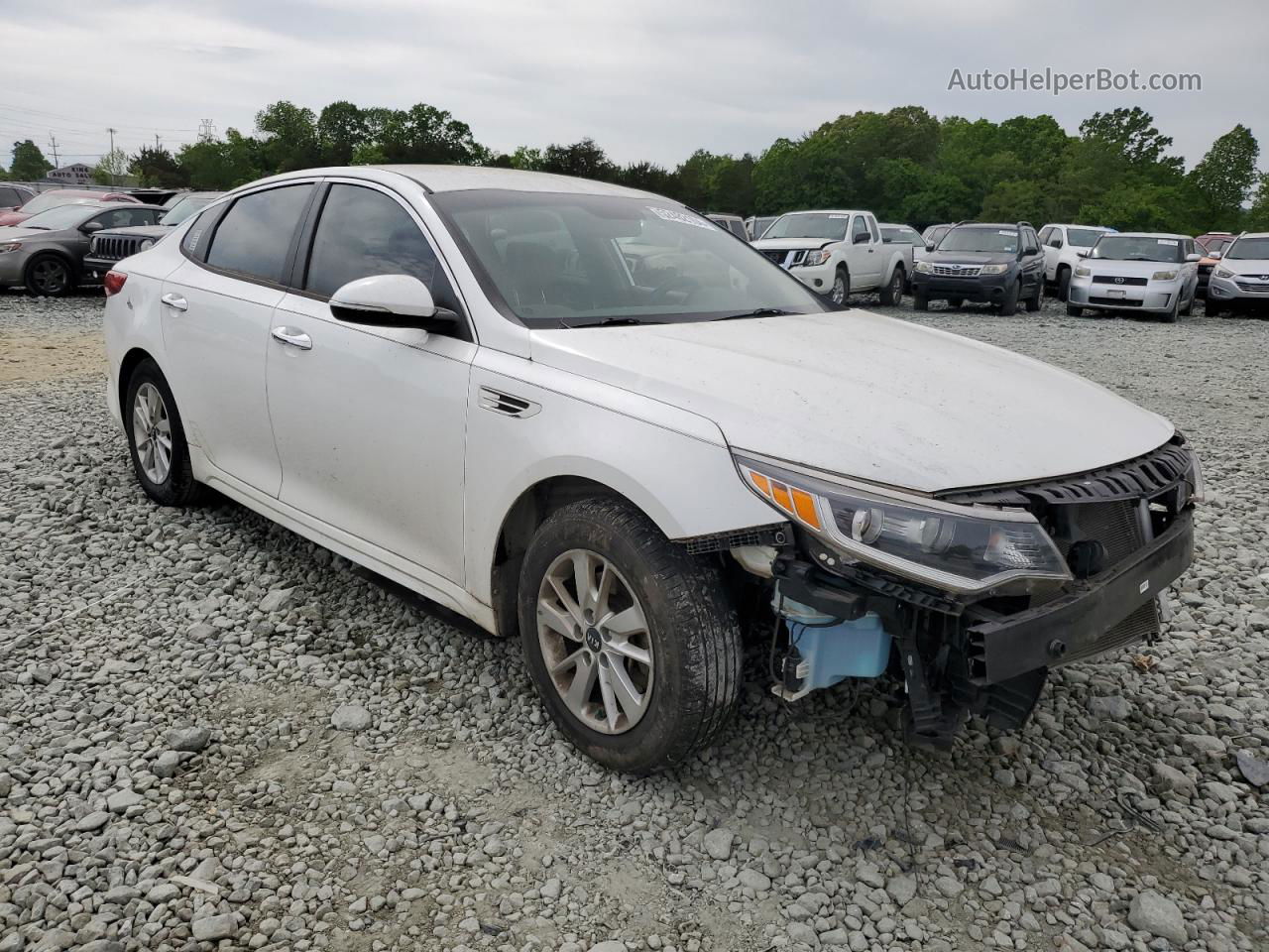 2016 Kia Optima Lx White vin: KNAGT4L34G5091027