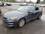 2017 Kia Optima Lx Gray vin: KNAGT4L36H5151794