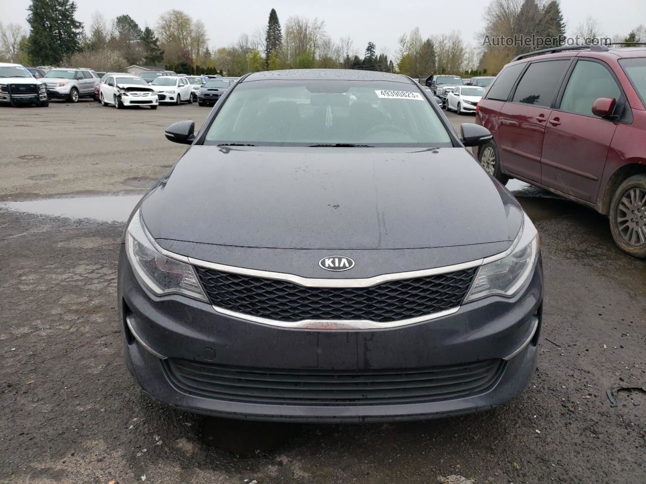 2017 Kia Optima Lx Серый vin: KNAGT4L36H5151794