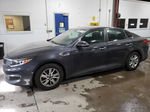 2017 Kia Optima Lx Gray vin: KNAGT4L3XH5177377