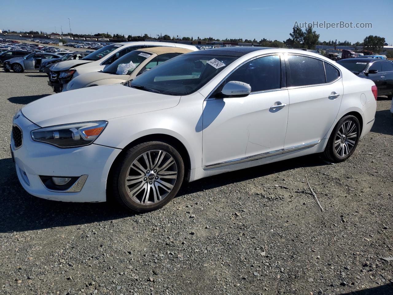 2014 Kia Cadenza Premium White vin: KNALN4D70E5134527