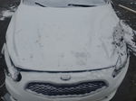 2014 Kia Cadenza Premium White vin: KNALN4D70E5139548