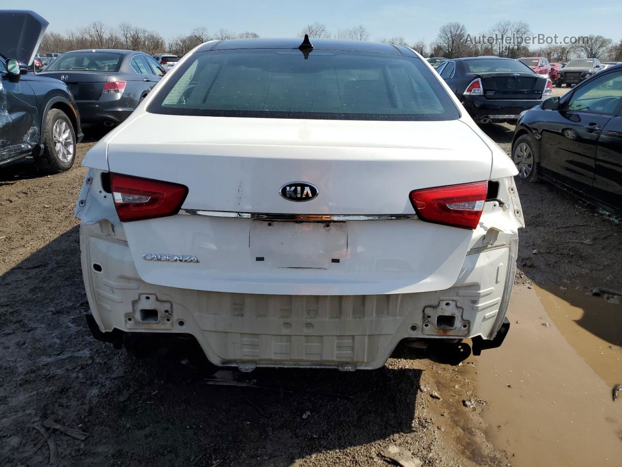 2014 Kia Cadenza Premium White vin: KNALN4D70E5140960