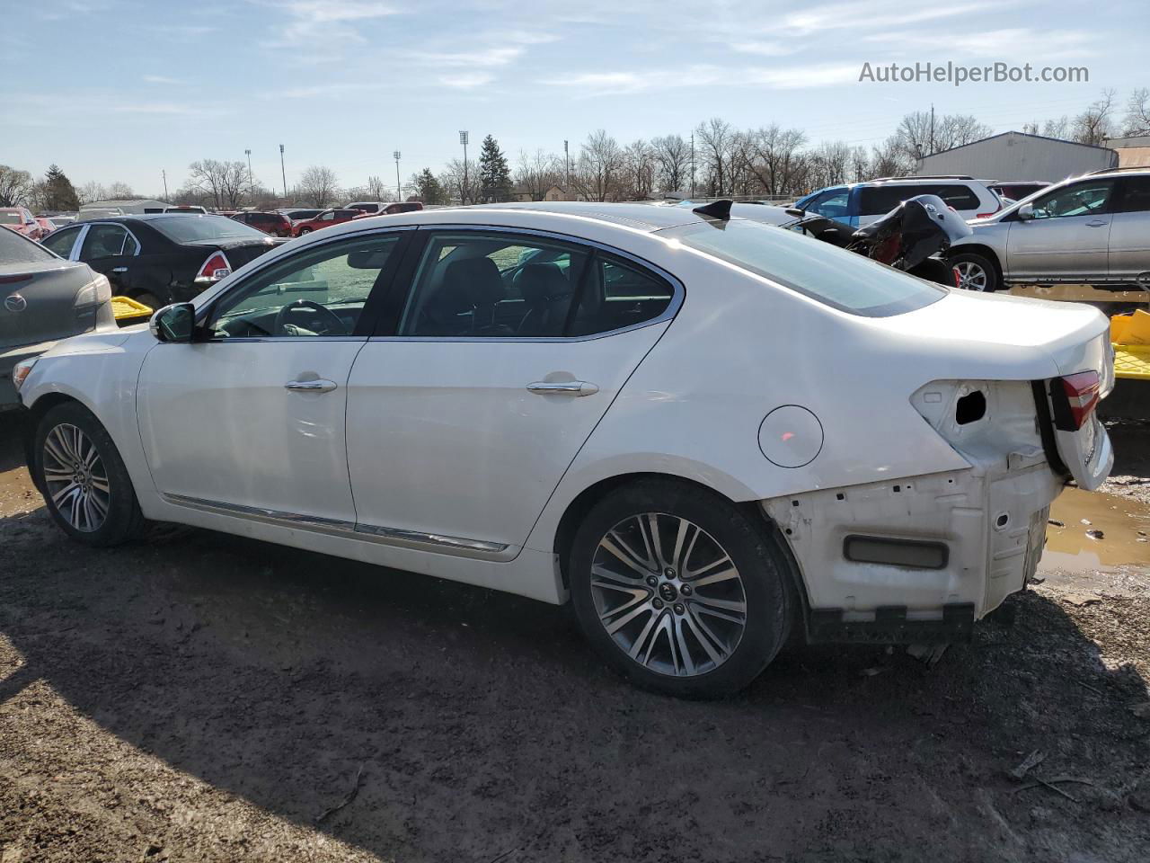 2014 Kia Cadenza Premium White vin: KNALN4D70E5140960