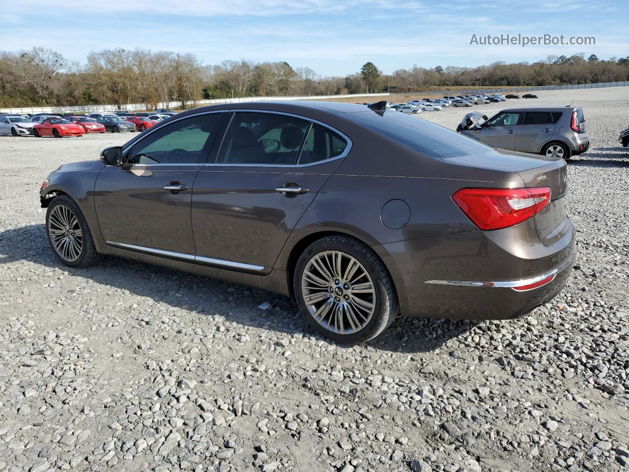 2014 Kia Cadenza Premium Gray vin: KNALN4D70E5145270