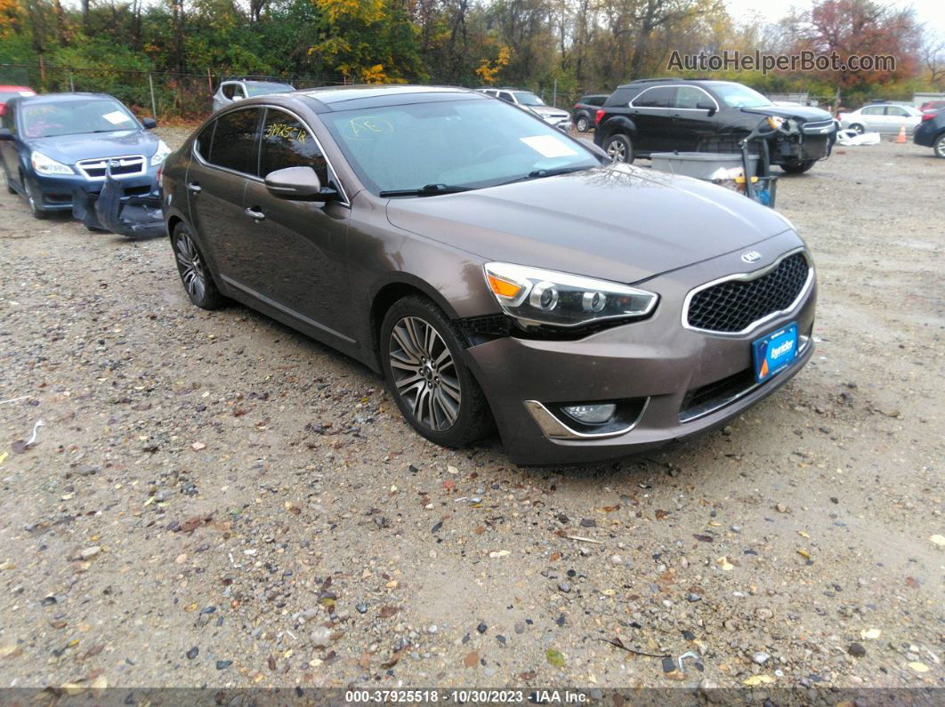 2014 Kia Cadenza Premium Brown vin: KNALN4D70E5166409