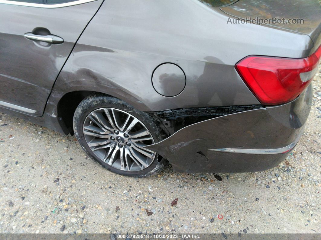 2014 Kia Cadenza Premium Brown vin: KNALN4D70E5166409