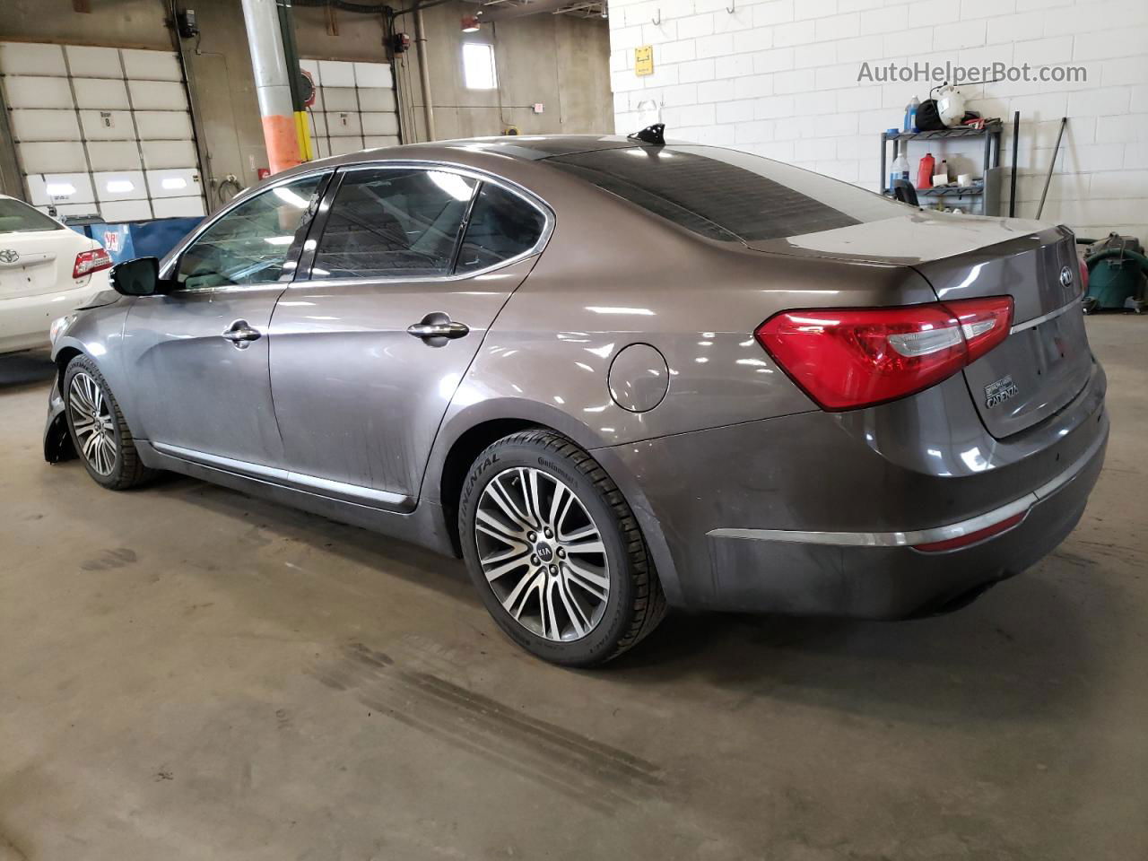 2014 Kia Cadenza Premium Золотой vin: KNALN4D71E5134486