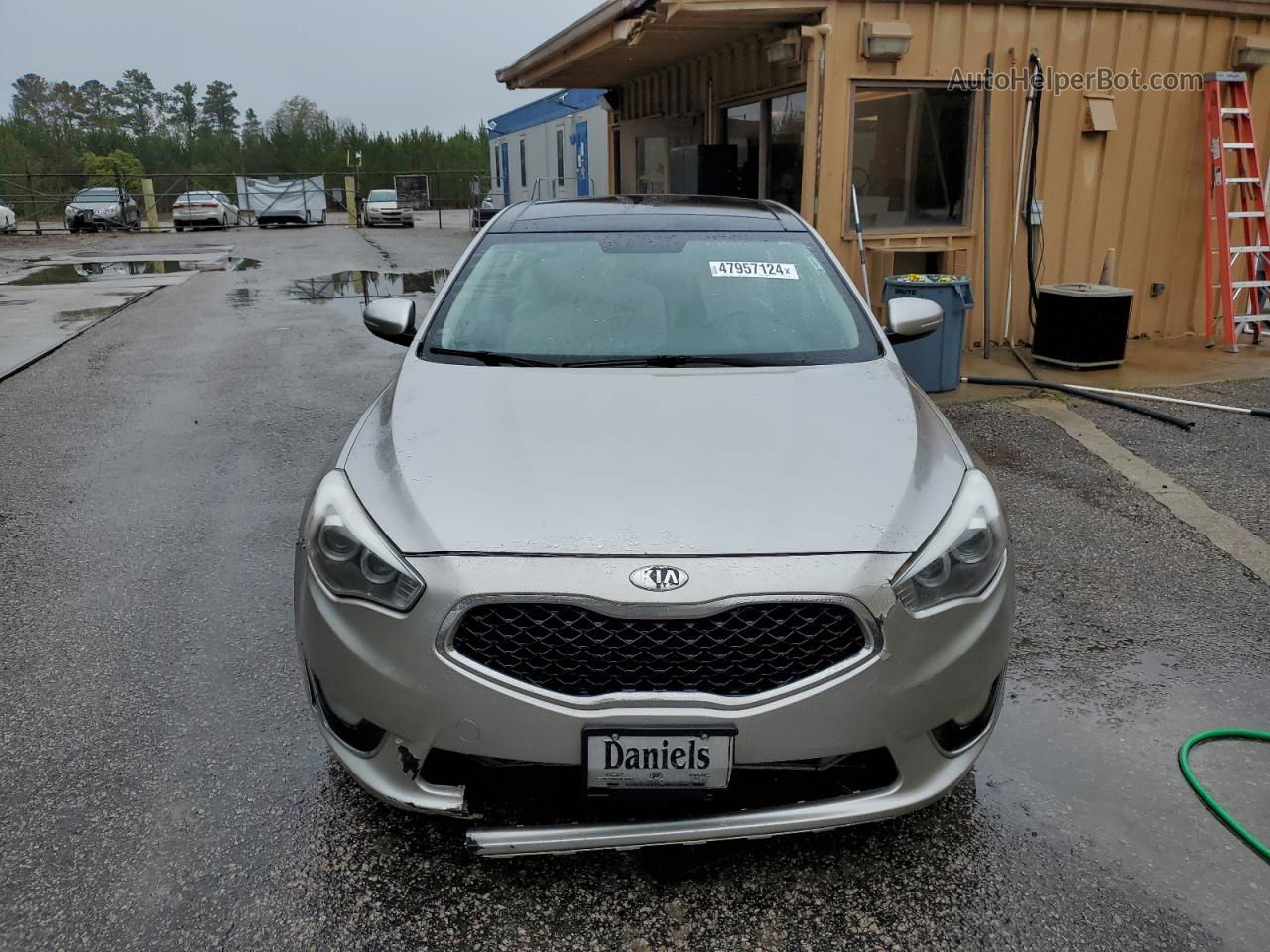 2014 Kia Cadenza Premium Silver vin: KNALN4D71E5134505