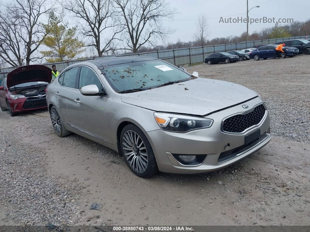 2014 Kia Cadenza Premium Silver vin: KNALN4D71E5134875