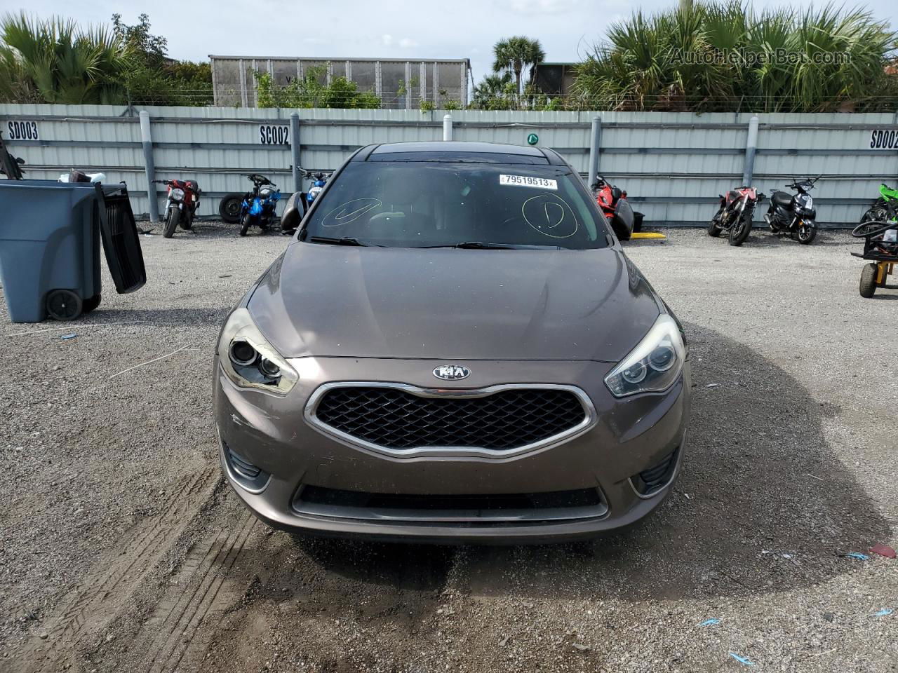 2014 Kia Cadenza Premium Tan vin: KNALN4D71E5151546