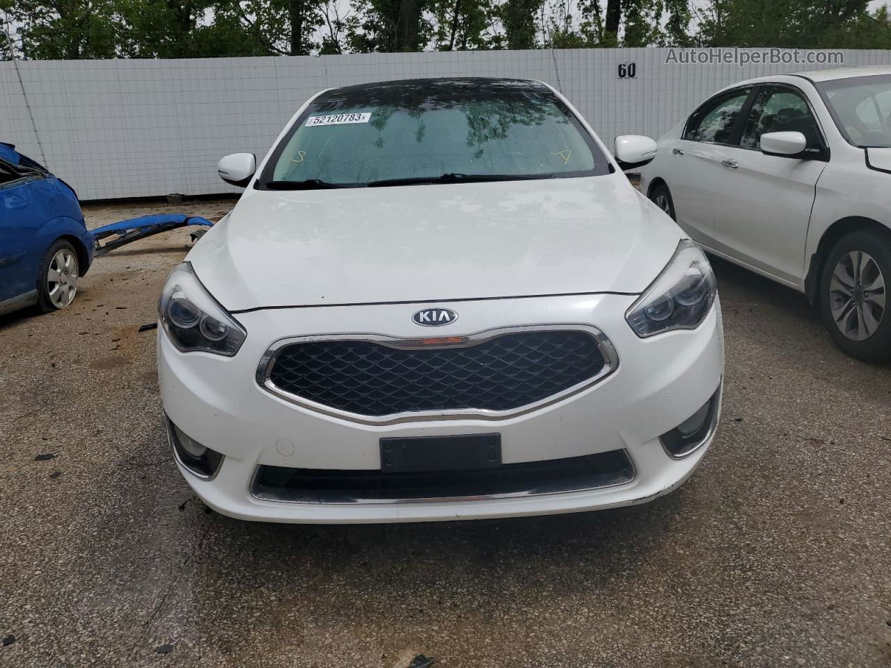 2016 Kia Cadenza Luxury White vin: KNALN4D71G5207049