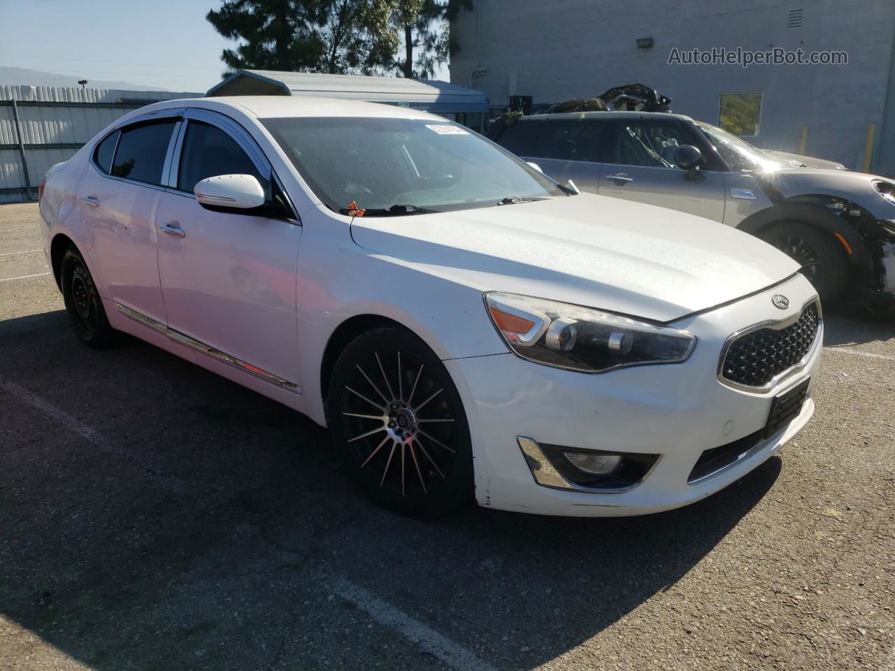 2014 Kia Cadenza Premium White vin: KNALN4D72E5133945