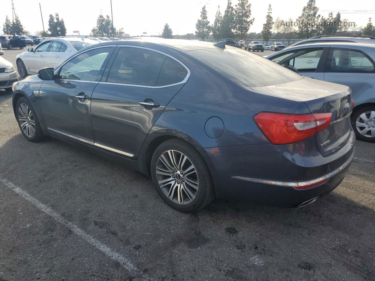 2014 Kia Cadenza Premium Синий vin: KNALN4D72E5146758