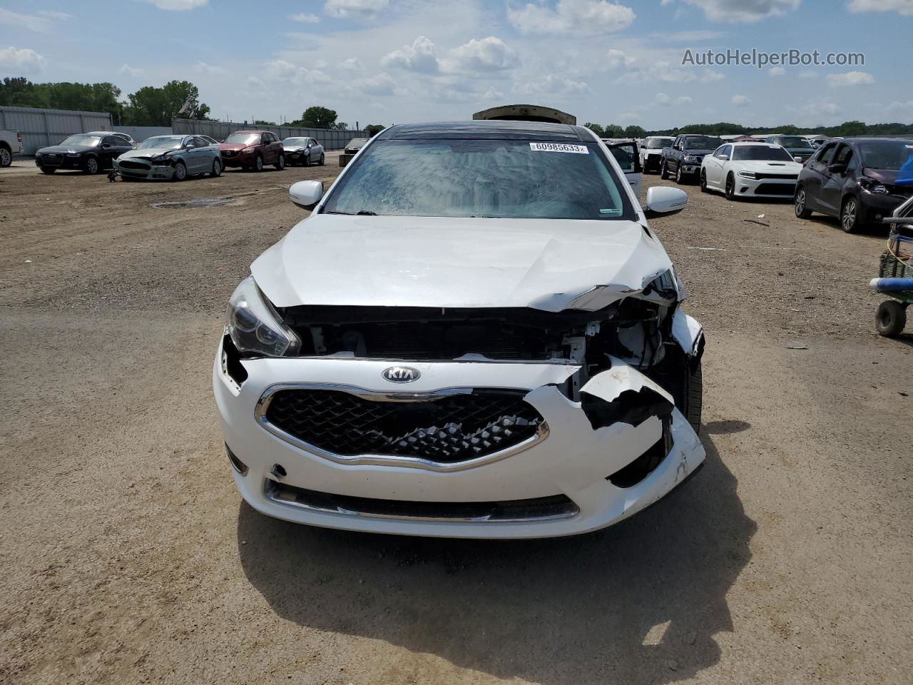 2016 Kia Cadenza Luxury White vin: KNALN4D72G5214558