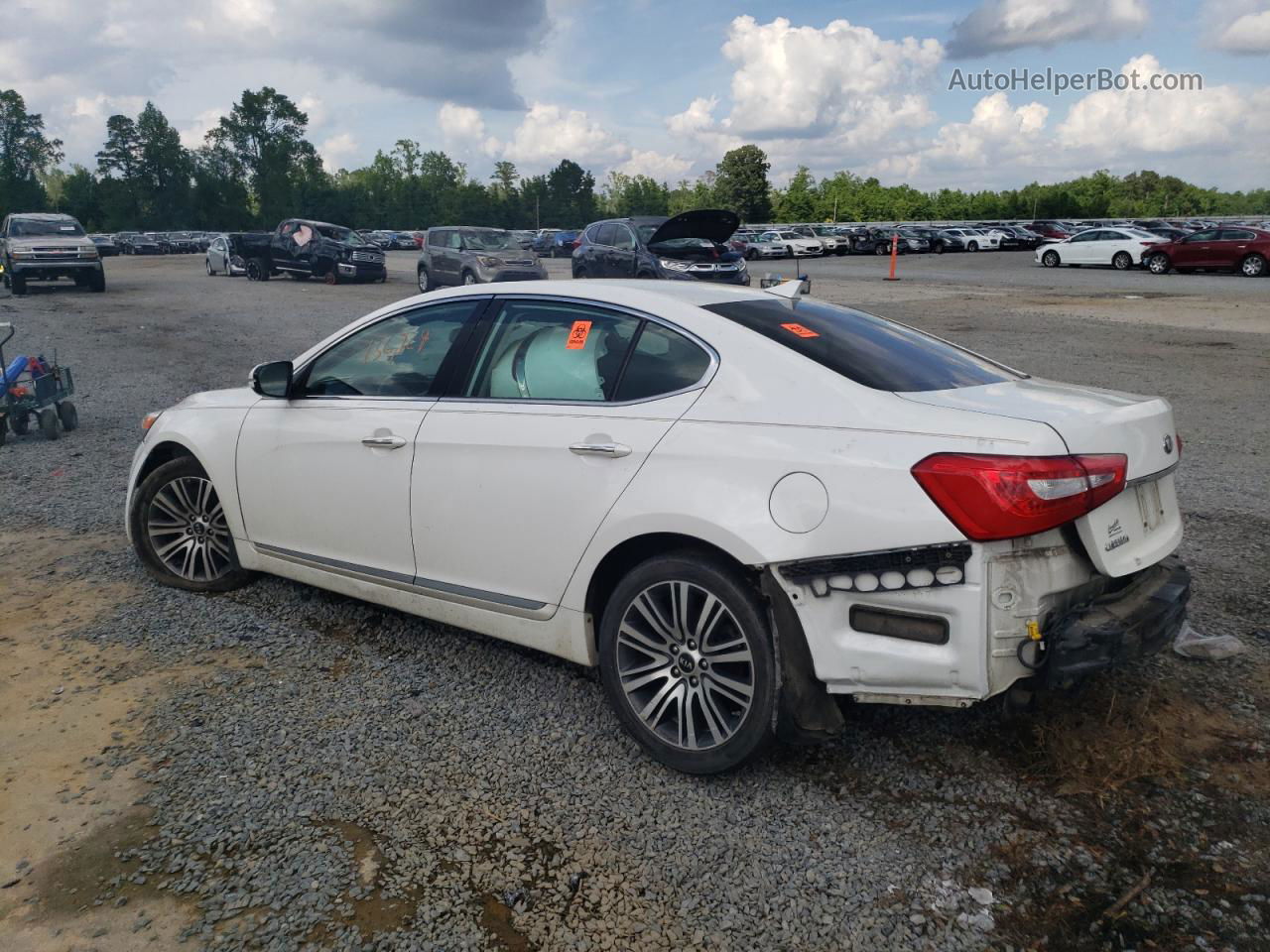 2016 Kia Cadenza Luxury White vin: KNALN4D72G5215239