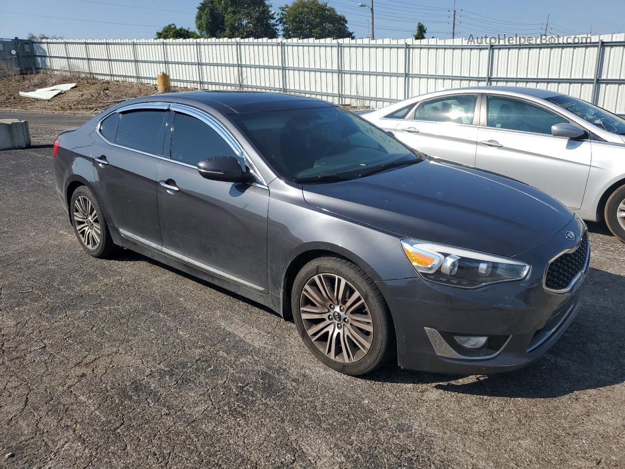 2016 Kia Cadenza Luxury Gray vin: KNALN4D73G5217937